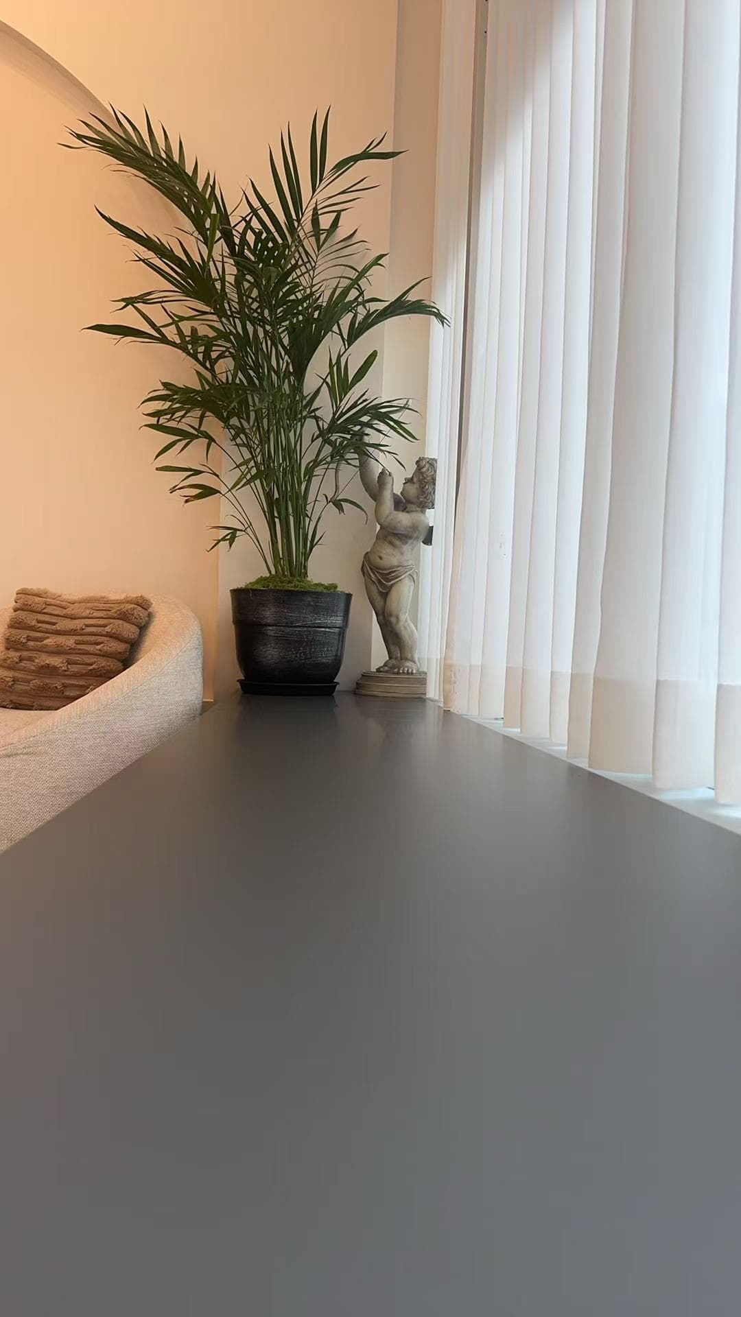 A calm, light-filled space